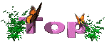 mariposa-085.gif