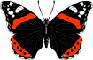 mariposa-089.gif
