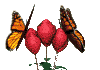 mariposa-092.gif