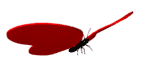 mariposa-095.gif