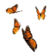 mariposa-098.gif