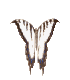 mariposa-099.gif