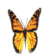mariposa-101.gif