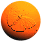 mariposa-103.gif