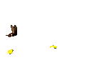 mariposa-108.gif