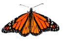 mariposa-109.gif