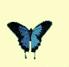 mariposa-112.gif