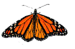 mariposa-113.gif