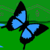 mariposa-121.gif