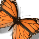 mariposa-133.gif