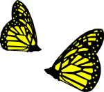 mariposa-140.jpg
