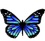 mariposa-142.gif