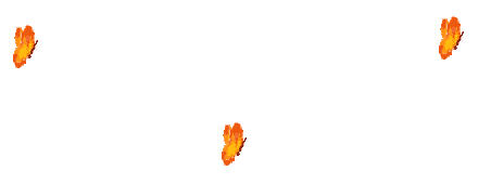 mariposa-143.gif