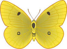 mariposa-165.jpg