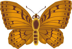 mariposa-167.jpg