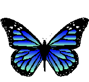 mariposa-168.gif