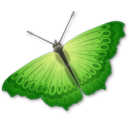 mariposa-171.png