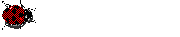 mariquita-004.gif
