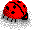 mariquita-006.gif