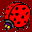 mariquita-015.gif