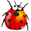 mariquita-032.png