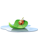 mariquita-035.png