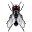 mosca-007.jpg