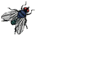 mosca-021.gif