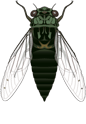 mosca-024.gif