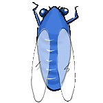 mosca-026.gif