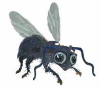 mosca-029.gif