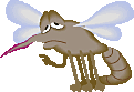 mosquito-005.gif