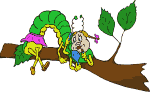 oruga-010.gif