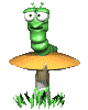 oruga-013.gif