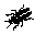 insectos-miscelanea-008.gif