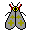 insectos-miscelanea-012.gif