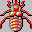 insectos-miscelanea-028.gif