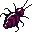 insectos-miscelanea-032.jpg