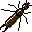 insectos-miscelanea-034.jpg