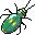insectos-miscelanea-035.jpg