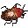 insectos-miscelanea-038.jpg