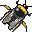 insectos-miscelanea-039.jpg