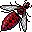 insectos-miscelanea-042.jpg