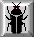 insectos-miscelanea-053.gif