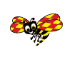insectos-miscelanea-066.gif