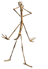 insectos-miscelanea-081.gif