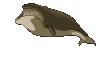 ballena-005.gif