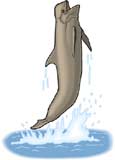 ballena-009.jpg