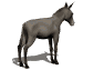 burro-asno-mula-004.gif