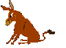 burro-asno-mula-005.gif